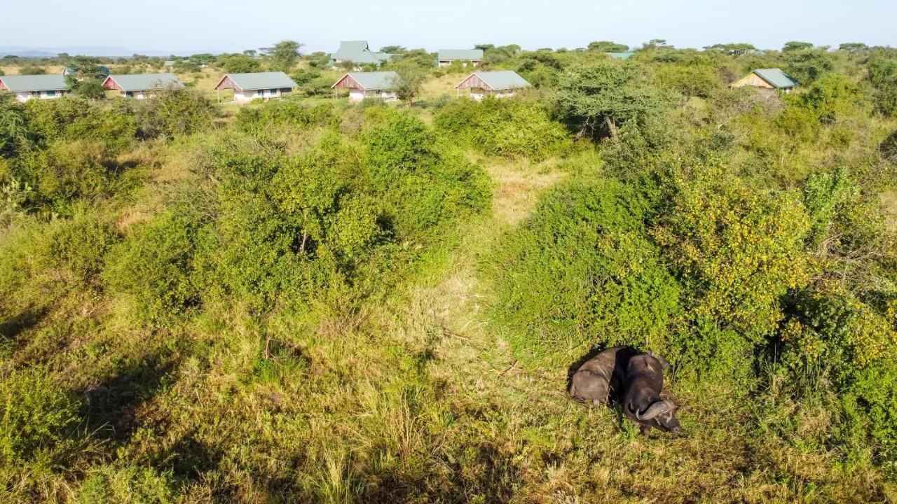 Africa Safari Serengeti Ikoma מראה חיצוני תמונה